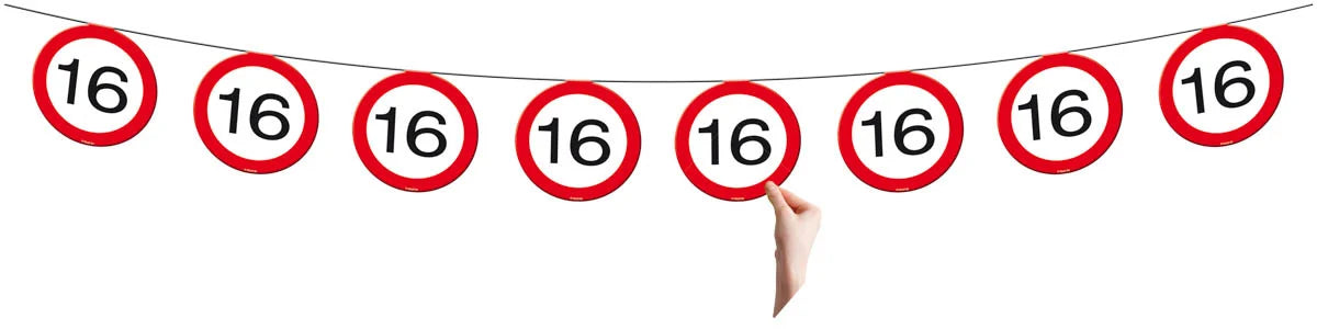 16 Jaar Verkeersbord Slinger -12 meter