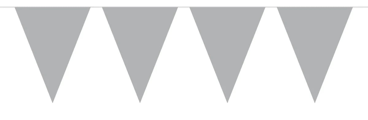 Vlaggenlijn Zilver - 10 meter